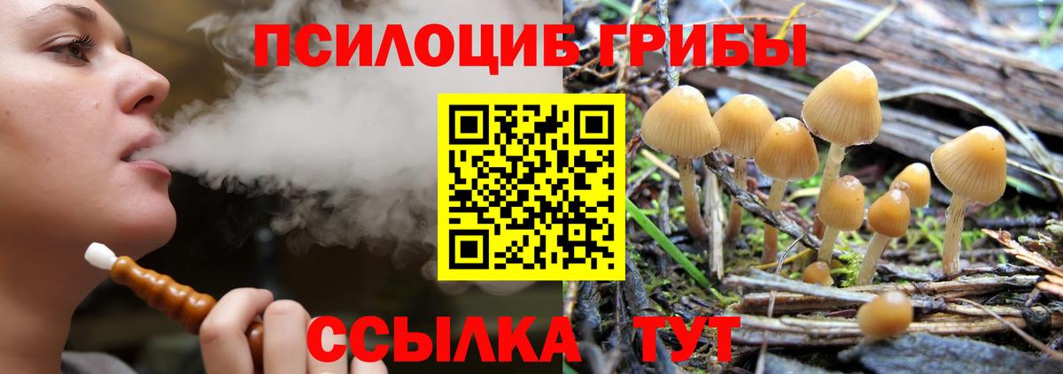 Южноуральск  купить закладку  Вход с VPN  Галлюциногенные грибы Psilocybe 